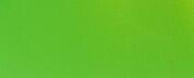 PET-Super Gloss Coral Fruit Green
