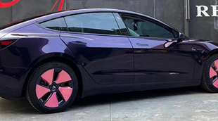 PET-Super Gloss Pearl Black Purple