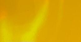 PET-Phantom Flare Racing Yellow