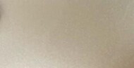 PET-Super Gloss Champagne Gold Metallic(Light)