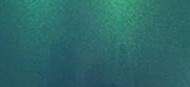 PET-Super Gloss Coral Jade Green