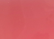 PET-Super Gloss Russet Red