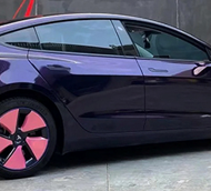 PET-Super Gloss Pearl Black Purple