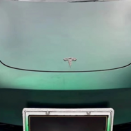 PET-Ultra Matte Chrome Venom Green