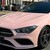 PET-Super Gloss Powder Pink
